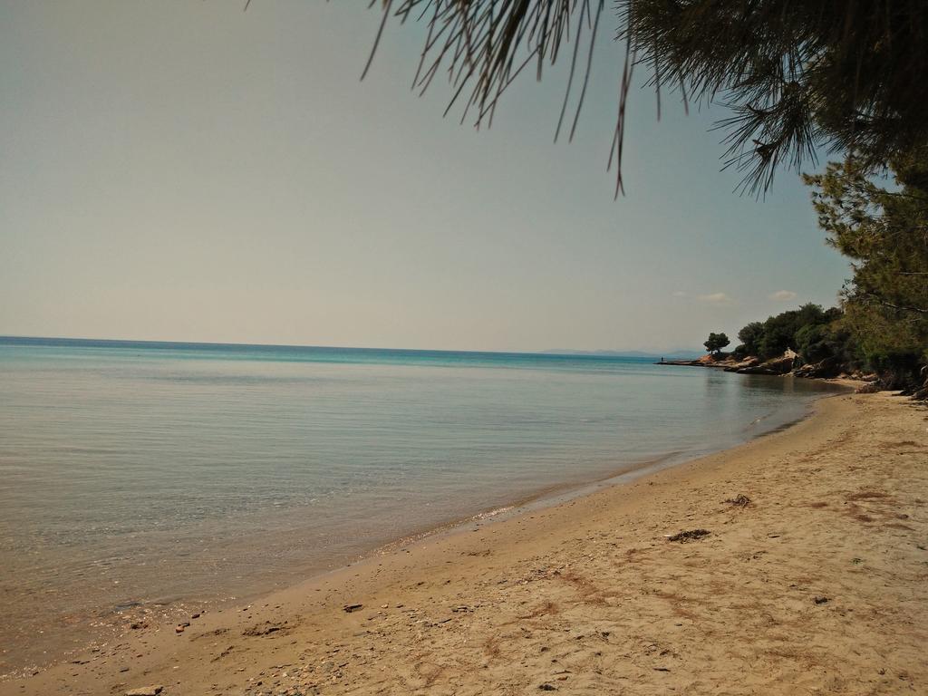 Apartment Moriel Seaside Homes *